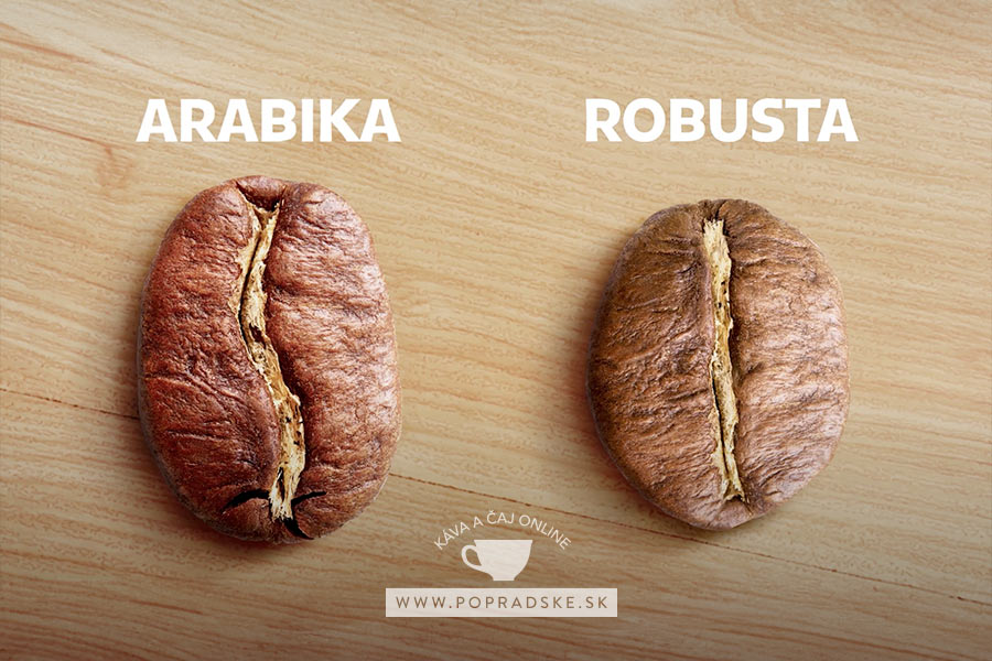 Arabika vs robusta