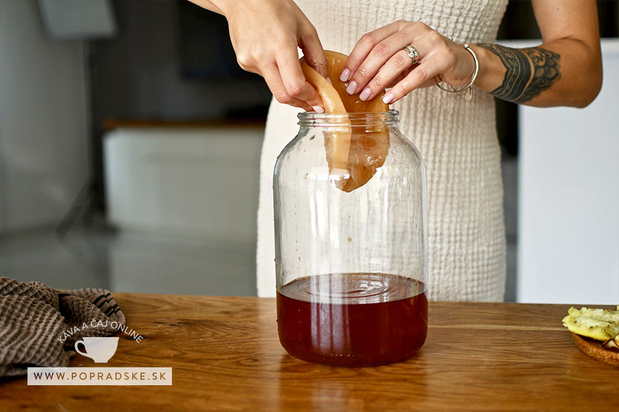 kombucha návod a skladovanie